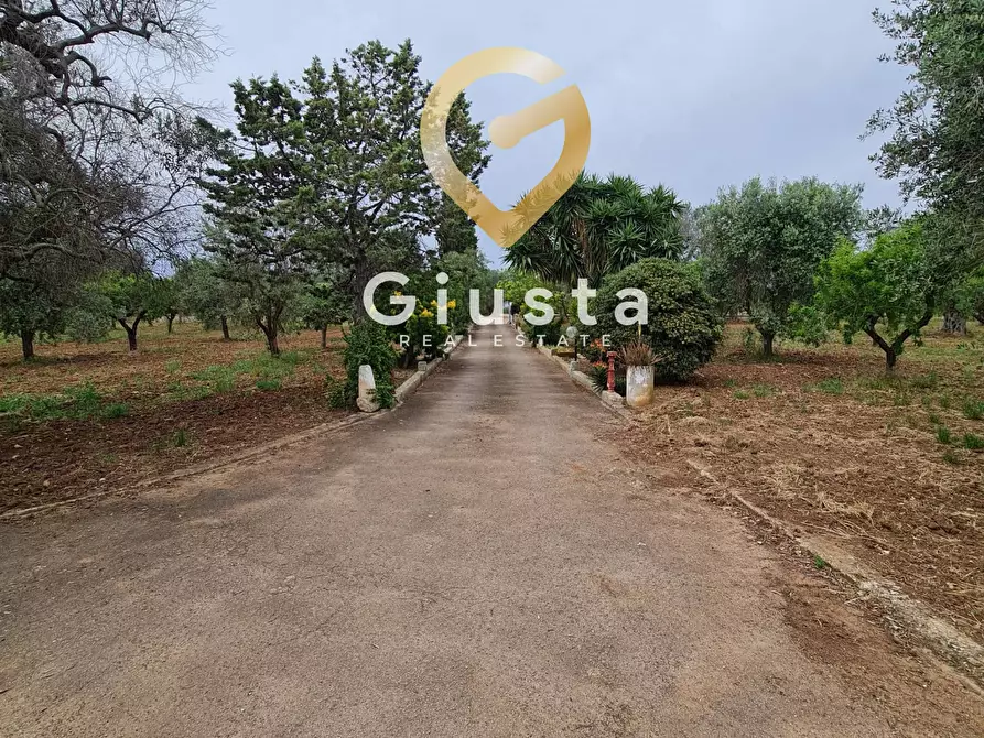 Immagine 3 di Villa in vendita  in cda zambardo a San Vito Dei Normanni