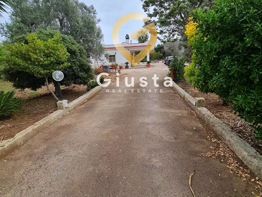 Immagine 4 di Villa in vendita  in cda zambardo a San Vito Dei Normanni