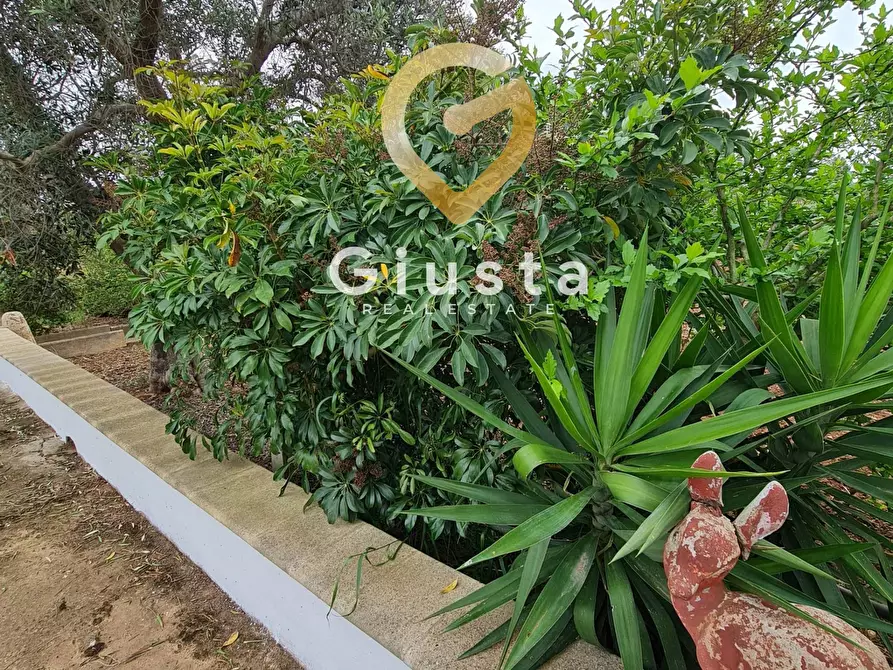 Immagine 11 di Villa in vendita  in cda zambardo a San Vito Dei Normanni