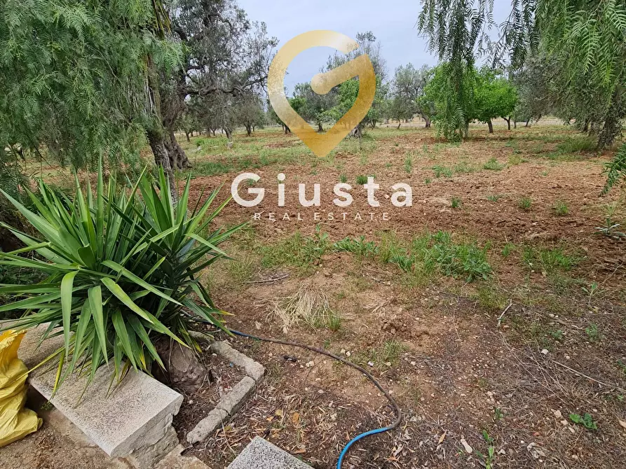 Immagine 20 di Villa in vendita  in cda zambardo a San Vito Dei Normanni