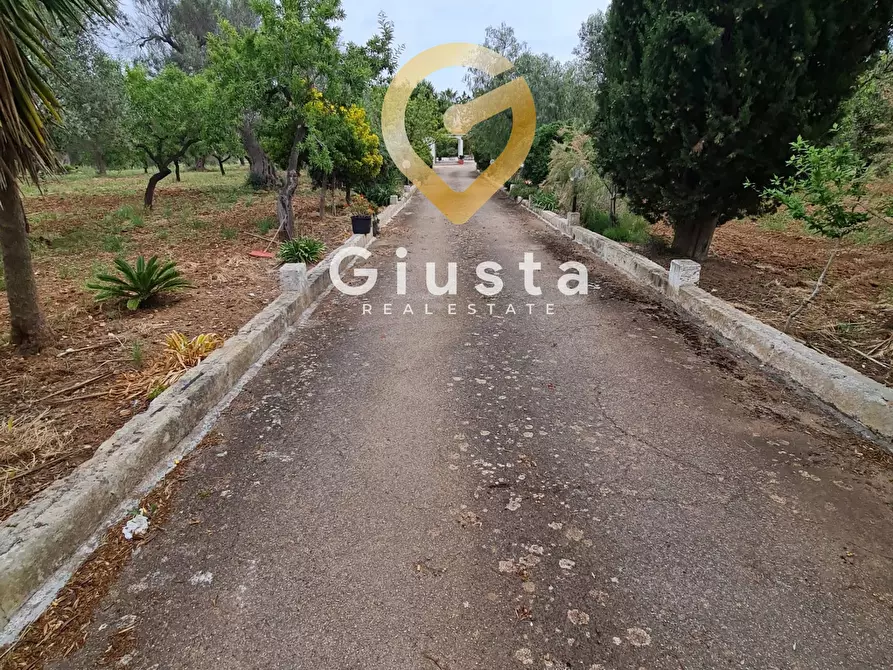 Immagine 26 di Villa in vendita  in cda zambardo a San Vito Dei Normanni