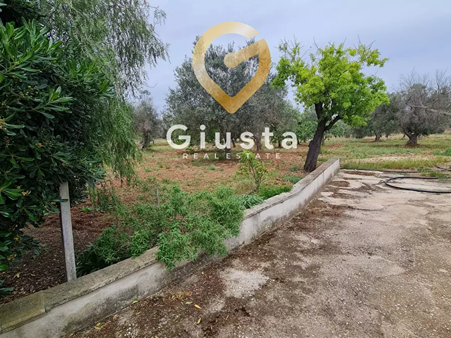 Immagine 35 di Villa in vendita  in cda zambardo a San Vito Dei Normanni