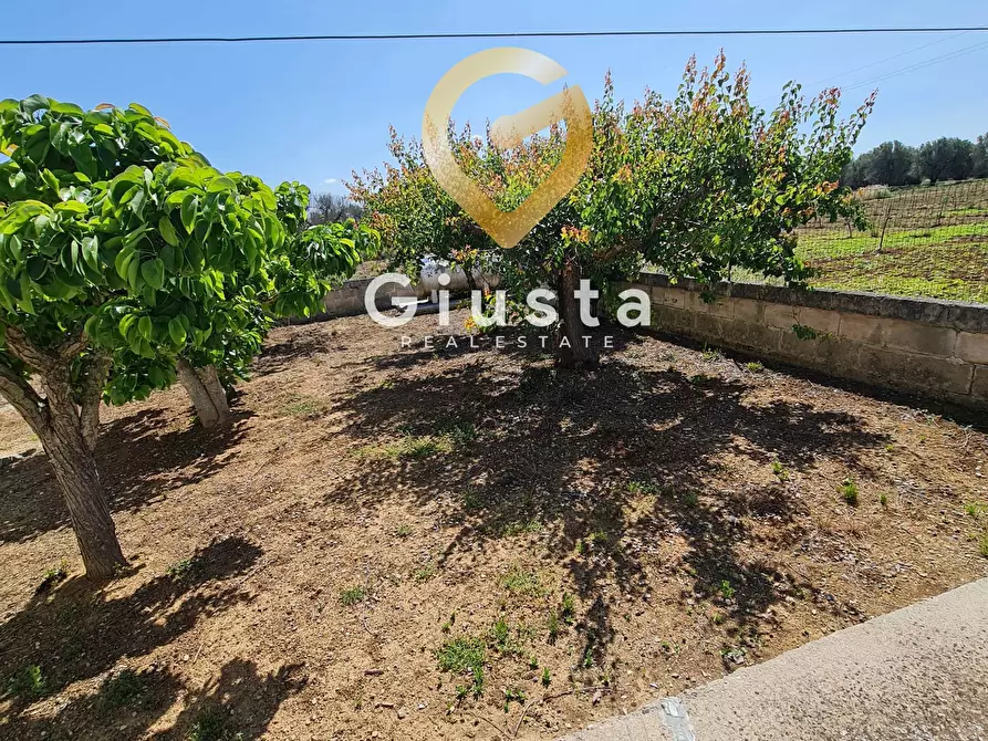 Immagine 3 di Villa in vendita  in Contrada Vergine a Mesagne