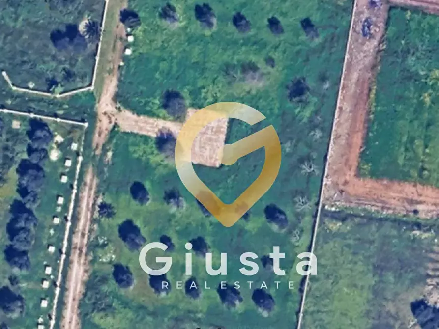 Immagine 2 di Terreno agricolo in vendita  in Contrada canali a Carovigno