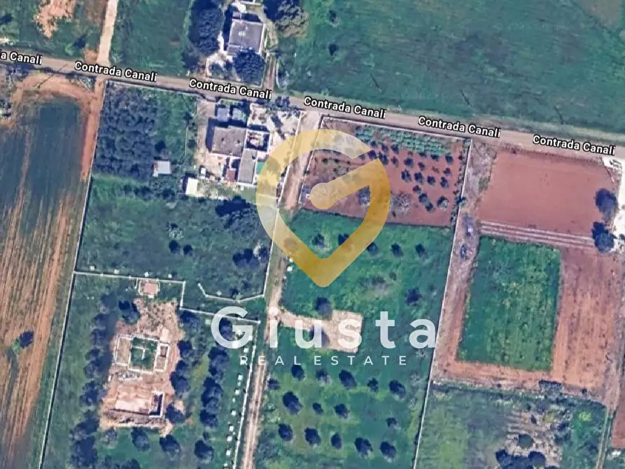 Immagine 3 di Terreno agricolo in vendita  in Contrada canali a Carovigno