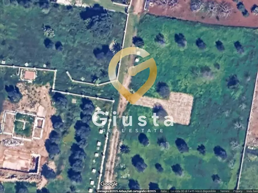 Immagine 4 di Terreno agricolo in vendita  in Contrada canali a Carovigno