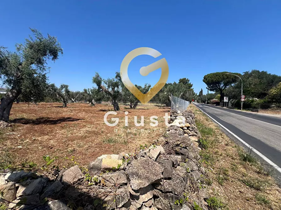 casa indipendente in vendita a Mesagne