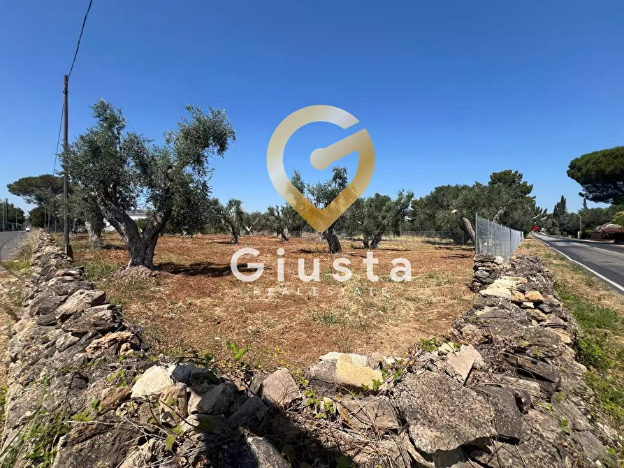 Immagine 2 di Terreno residenziale in vendita  in Via camigliatello a Mesagne