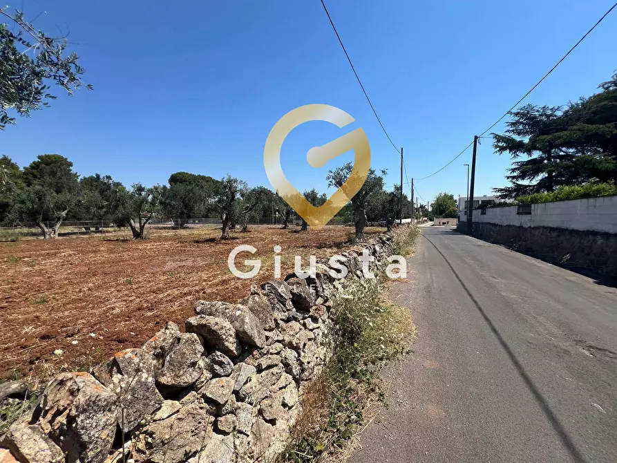 Immagine 4 di Terreno residenziale in vendita  in Via camigliatello a Mesagne