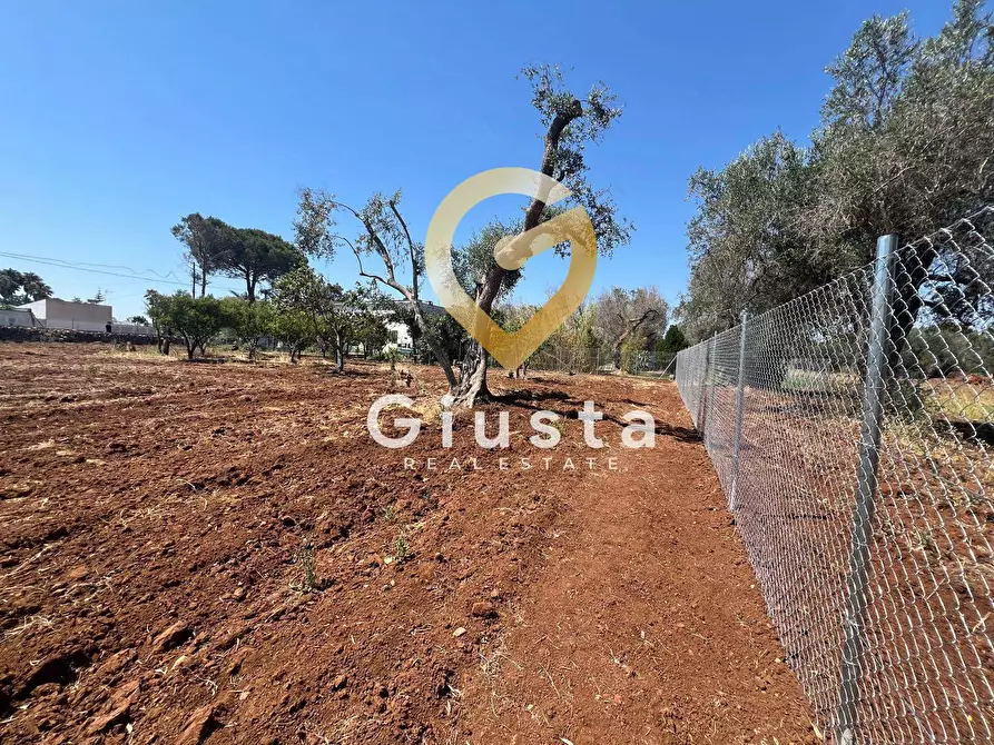 Immagine 5 di Terreno residenziale in vendita  in Via camigliatello a Mesagne