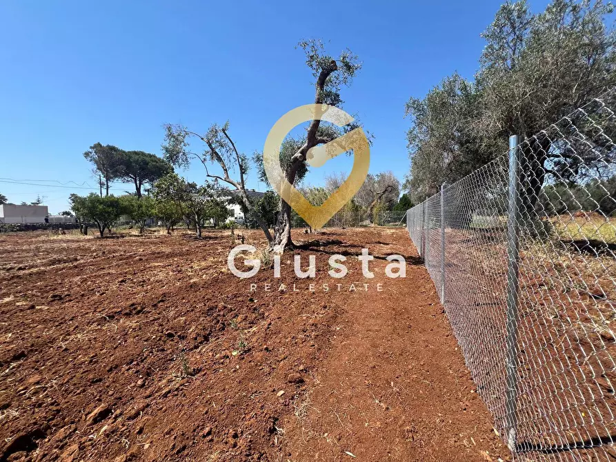 Immagine 6 di Terreno residenziale in vendita  in Via camigliatello a Mesagne