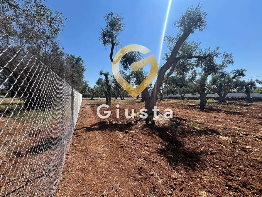 Immagine 7 di Terreno residenziale in vendita  in Via camigliatello a Mesagne