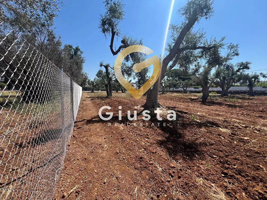 Immagine 8 di Terreno residenziale in vendita  in Via camigliatello a Mesagne