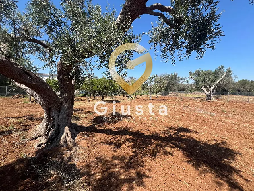 Immagine 9 di Terreno residenziale in vendita  in Via camigliatello a Mesagne