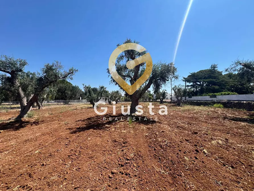 Immagine 10 di Terreno residenziale in vendita  in Via camigliatello a Mesagne