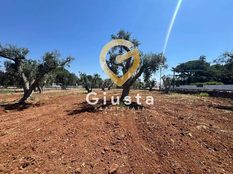 Immagine 11 di Terreno residenziale in vendita  in Via camigliatello a Mesagne