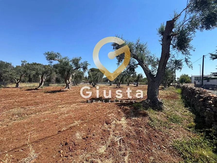 Immagine 12 di Terreno residenziale in vendita  in Via camigliatello a Mesagne