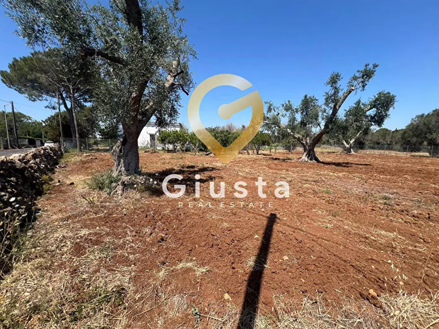 Immagine 13 di Terreno residenziale in vendita  in Via camigliatello a Mesagne