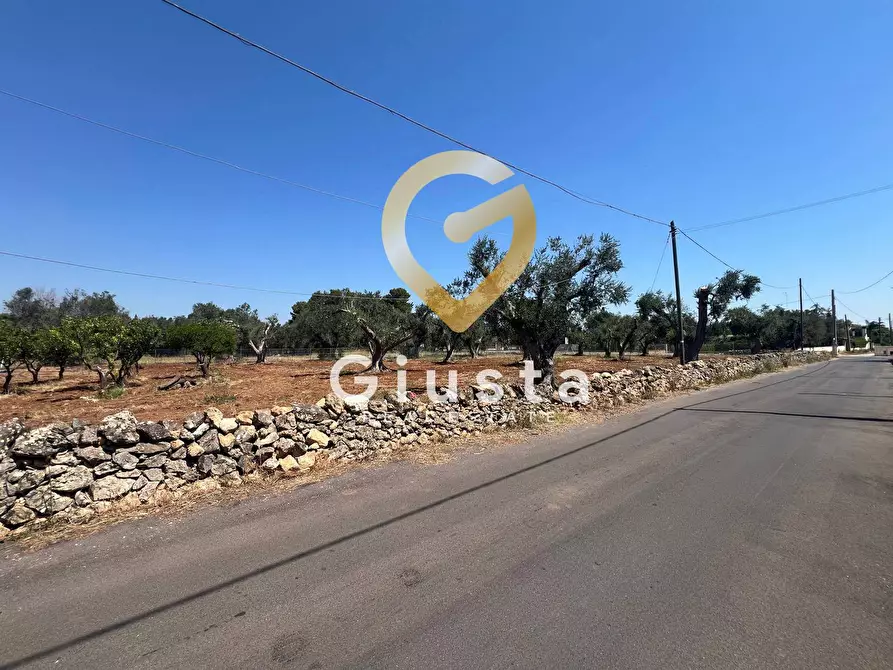 Immagine 14 di Terreno residenziale in vendita  in Via camigliatello a Mesagne