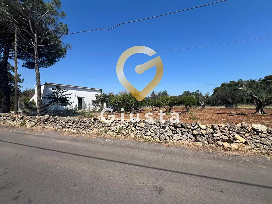 Immagine 15 di Terreno residenziale in vendita  in Via camigliatello a Mesagne