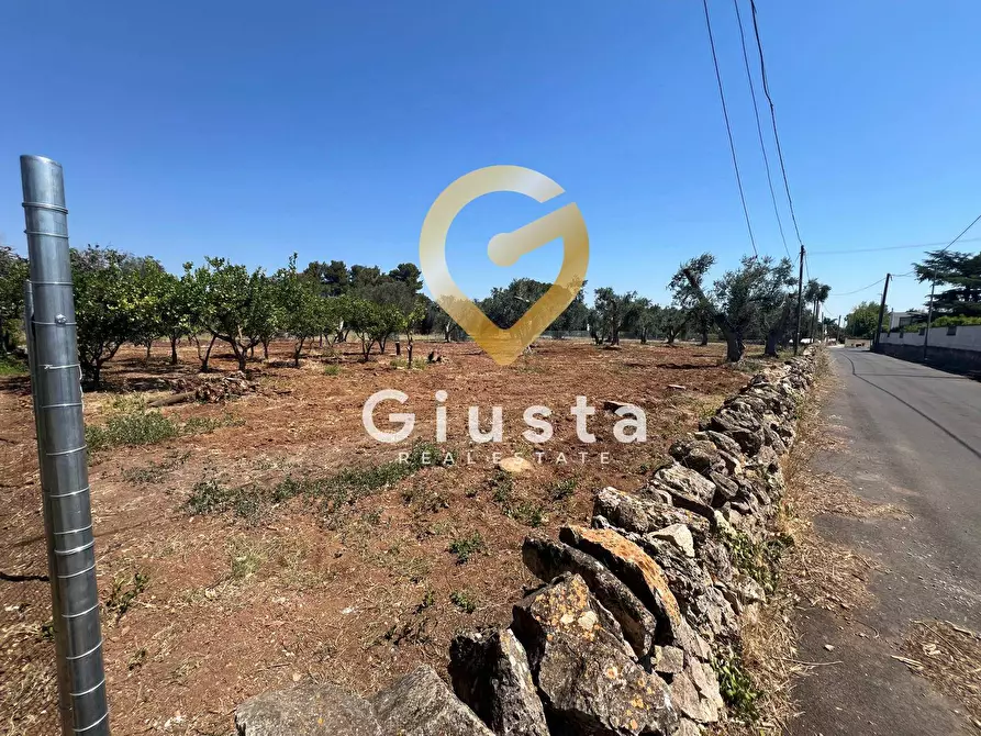 Immagine 17 di Terreno residenziale in vendita  in Via camigliatello a Mesagne