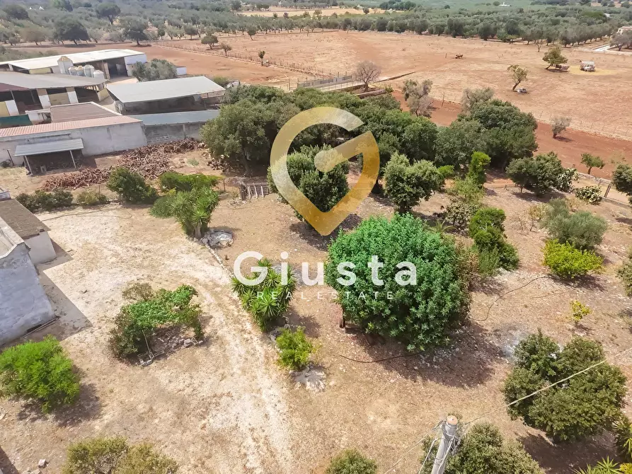 Immagine 21 di Rustico / casale in vendita  in CONTRADA CORREO 1 a Carovigno