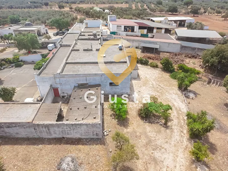 Immagine 20 di Rustico / casale in vendita  in CONTRADA CORREO 1 a Carovigno