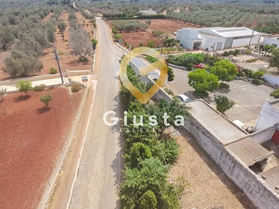 Immagine 39 di Rustico / casale in vendita  in CONTRADA CORREO 1 a Carovigno