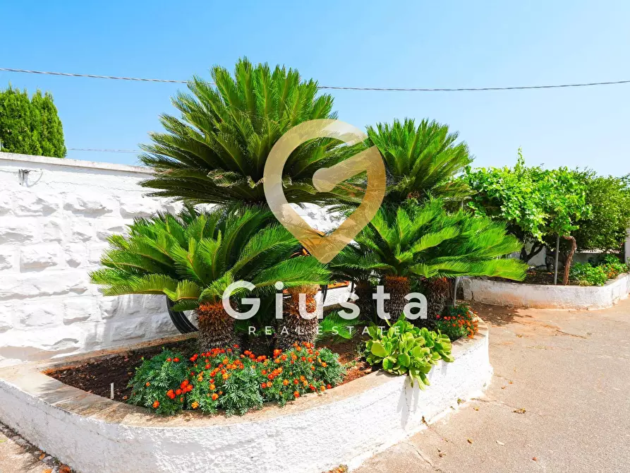 Immagine 34 di Rustico / casale in vendita  in CONTRADA CORREO 1 a Carovigno