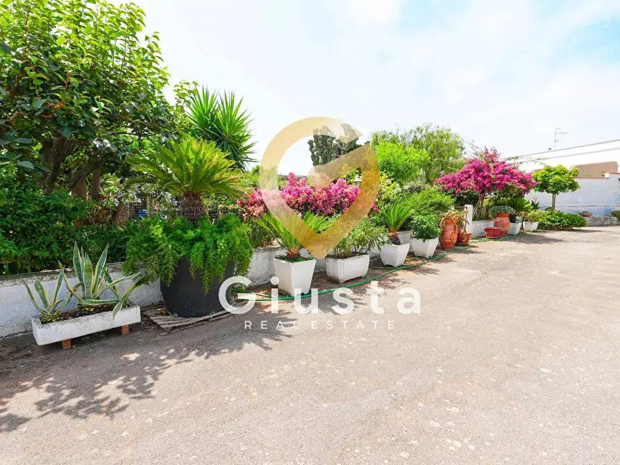 Immagine 35 di Rustico / casale in vendita  in CONTRADA CORREO 1 a Carovigno