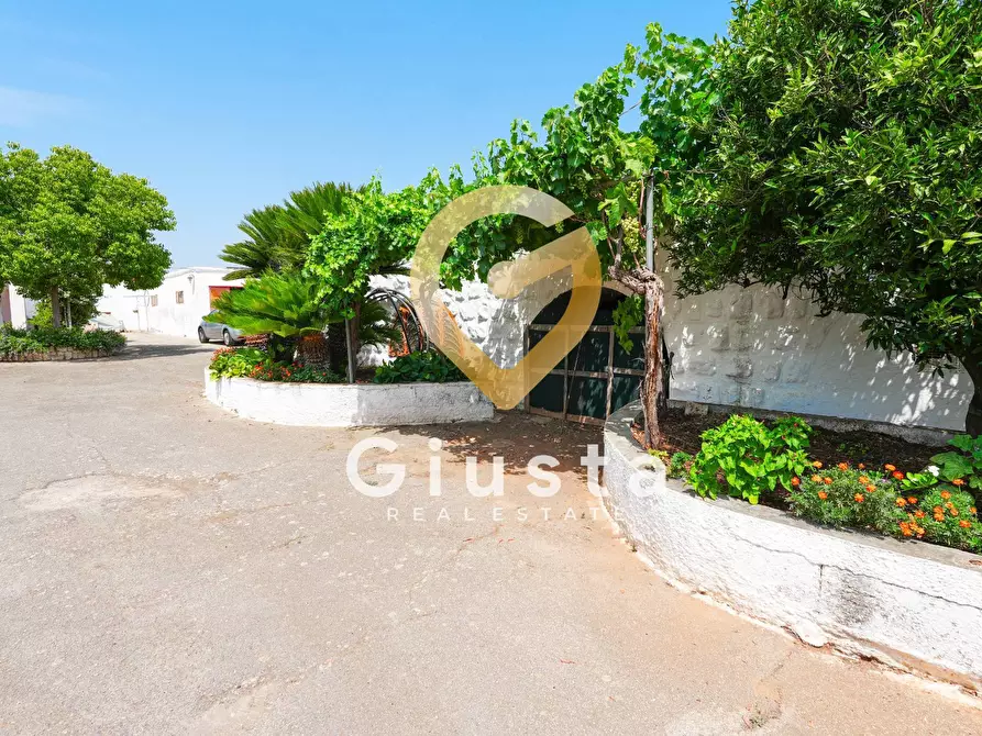 Immagine 36 di Rustico / casale in vendita  in CONTRADA CORREO 1 a Carovigno