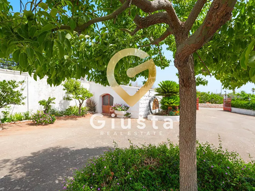 Immagine 38 di Rustico / casale in vendita  in CONTRADA CORREO 1 a Carovigno