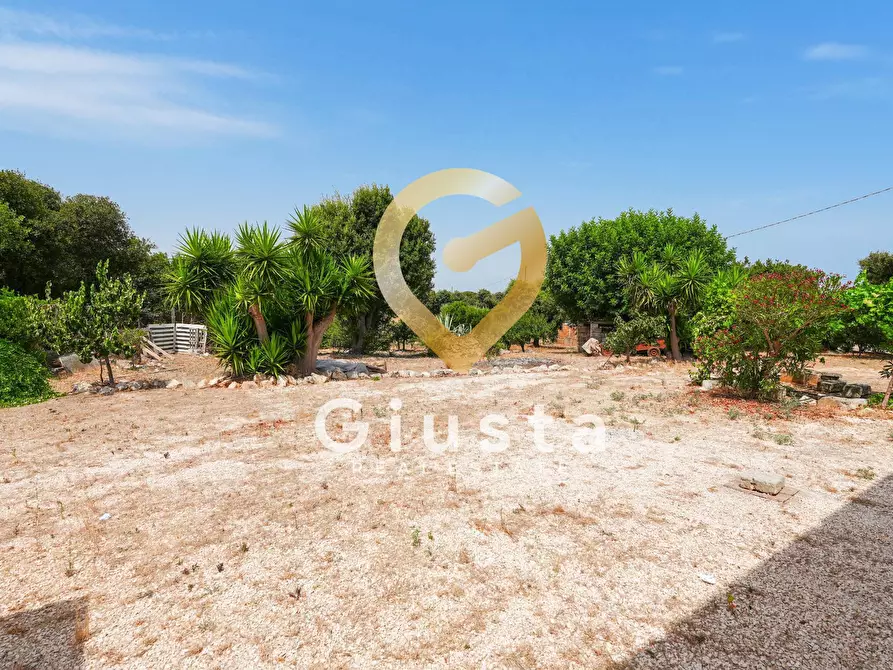 Immagine 45 di Rustico / casale in vendita  in CONTRADA CORREO 1 a Carovigno