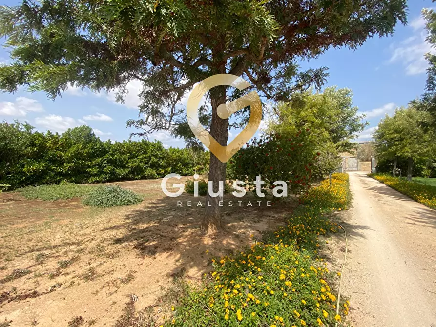 Immagine 12 di Villa in vendita  in Contrada Torricella Sn a Brindisi