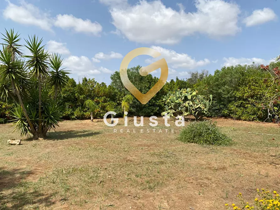 Immagine 8 di Villa in vendita  in Contrada Torricella Sn a Brindisi