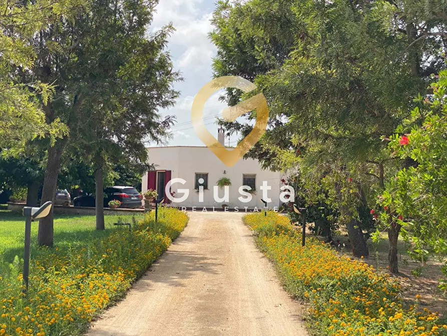 Immagine 3 di Villa in vendita  in Contrada Torricella Sn a Brindisi