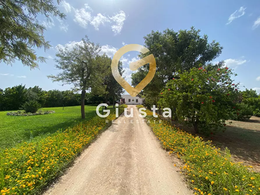 Immagine 2 di Villa in vendita  in Contrada Torricella Sn a Brindisi