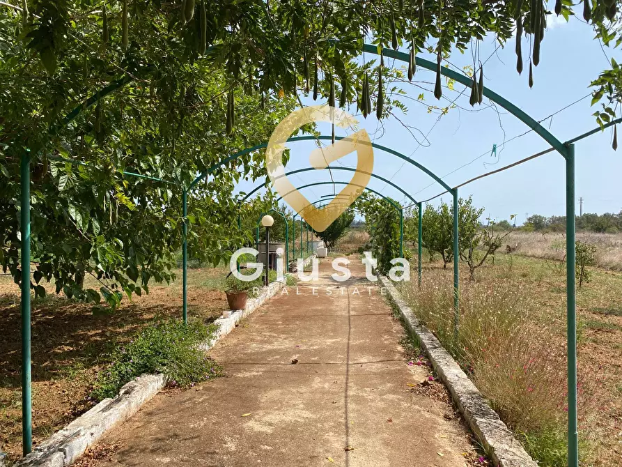 Immagine 30 di Villa in vendita  in Contrada Torricella Sn a Brindisi