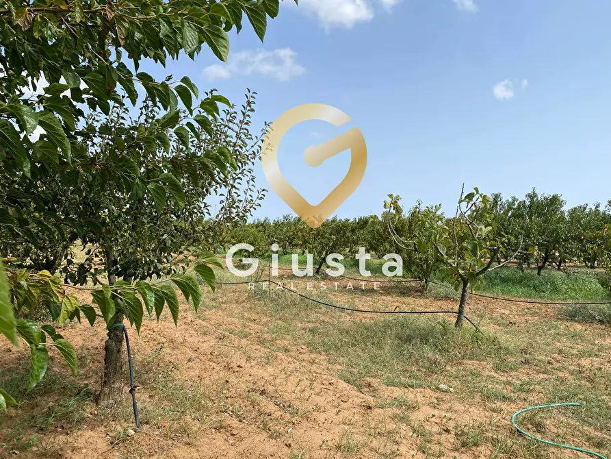 Immagine 31 di Villa in vendita  in Contrada Torricella Sn a Brindisi