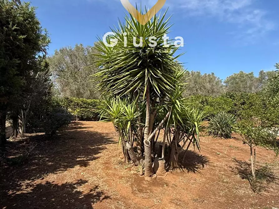 Immagine 14 di Casa indipendente in vendita  in Contrada Tanusci sn a Latiano