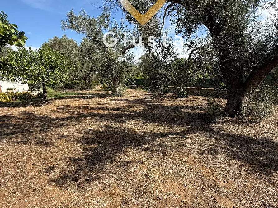 Immagine 15 di Casa indipendente in vendita  in Contrada Tanusci sn a Latiano