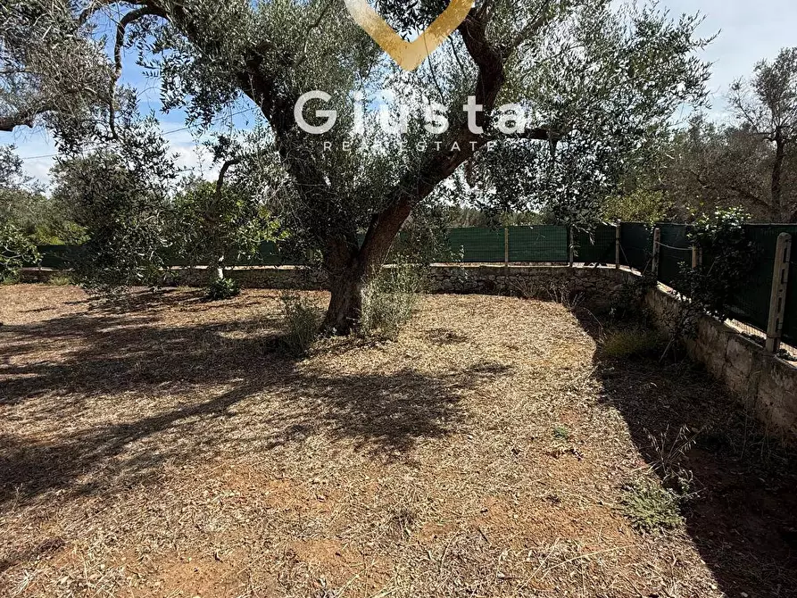 Immagine 16 di Casa indipendente in vendita  in Contrada Tanusci sn a Latiano