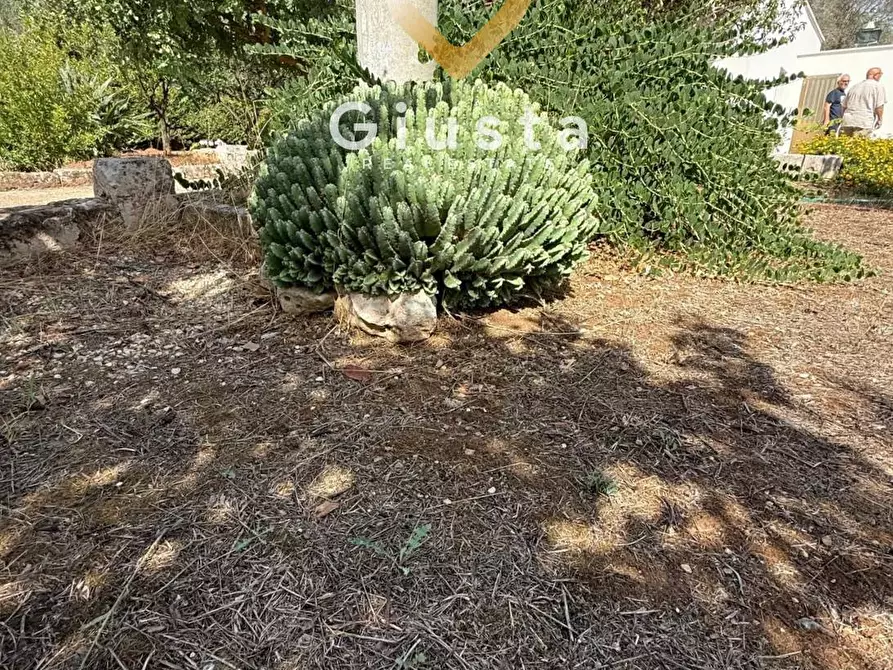 Immagine 17 di Casa indipendente in vendita  in Contrada Tanusci sn a Latiano