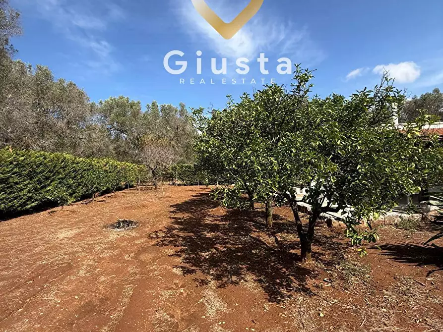 Immagine 18 di Casa indipendente in vendita  in Contrada Tanusci sn a Latiano