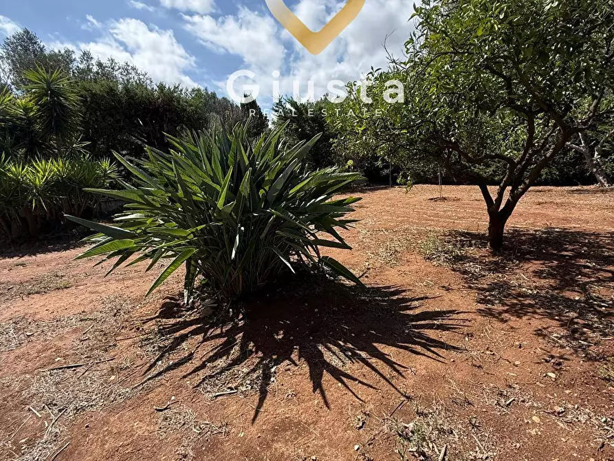 Immagine 19 di Casa indipendente in vendita  in Contrada Tanusci sn a Latiano