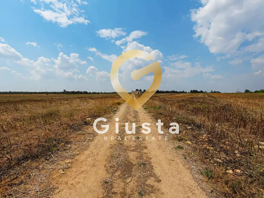 Immagine 13 di Agriturismo in vendita  in Contrada Baccone SN a Francavilla Fontana