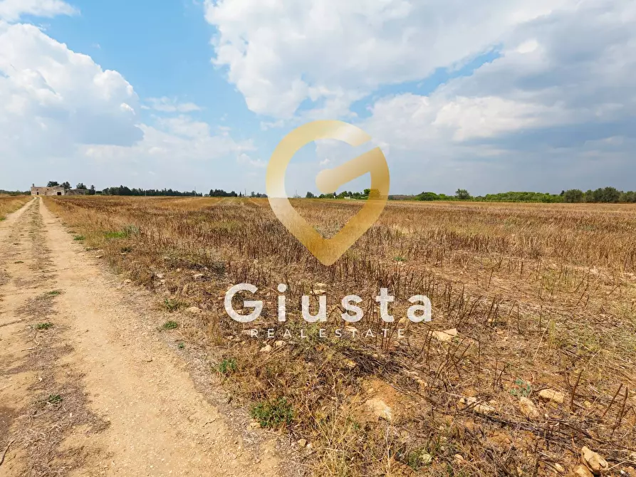 Immagine 14 di Agriturismo in vendita  in Contrada Baccone SN a Francavilla Fontana