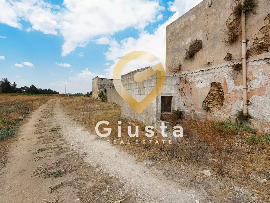 Immagine 22 di Agriturismo in vendita  in Contrada Baccone SN a Francavilla Fontana