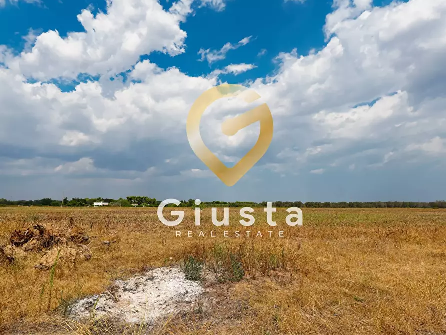 Immagine 30 di Agriturismo in vendita  in Contrada Baccone SN a Francavilla Fontana