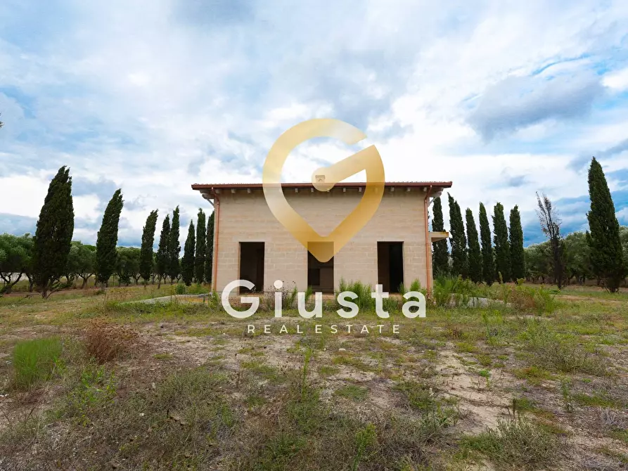 Immagine 3 di Villa in vendita  in via vittorio emanuele III a San Pancrazio Salentino